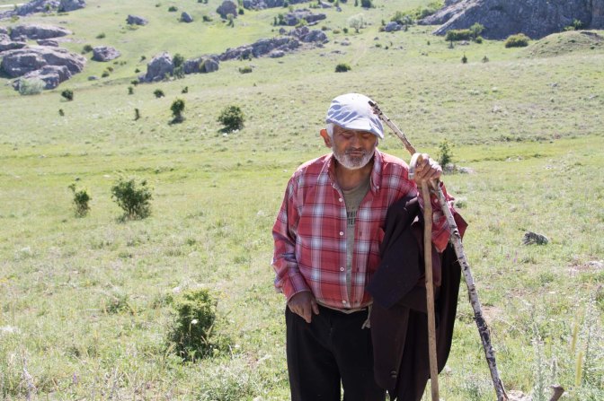 aaa herder klein.jpg