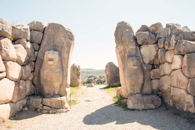 aaa leeuwenpoort.jpg